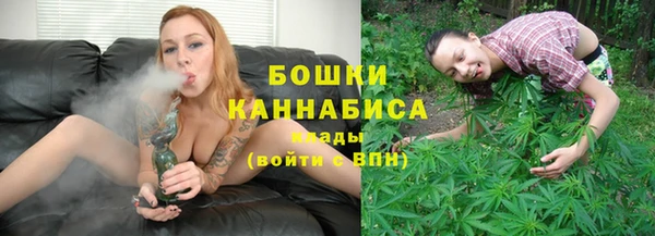 гидра Белоозёрский